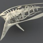 Ship 7 – Bio ship concept