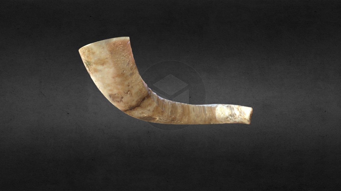 Ram Horn Shofar 3d Model - High-detail 3D model of a natural ram horn shofar, showcasing its authentic texture and curvature, used in Jewish religious ceremonies.