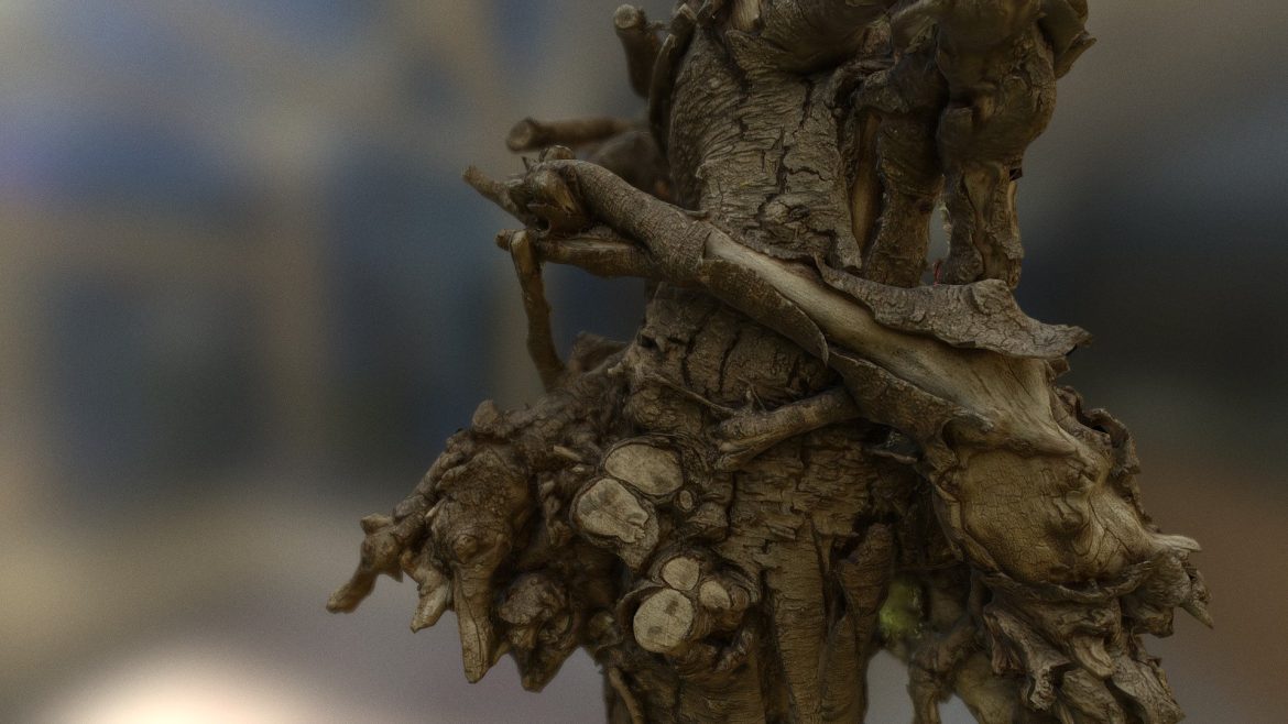 the log twisted log 3d model
