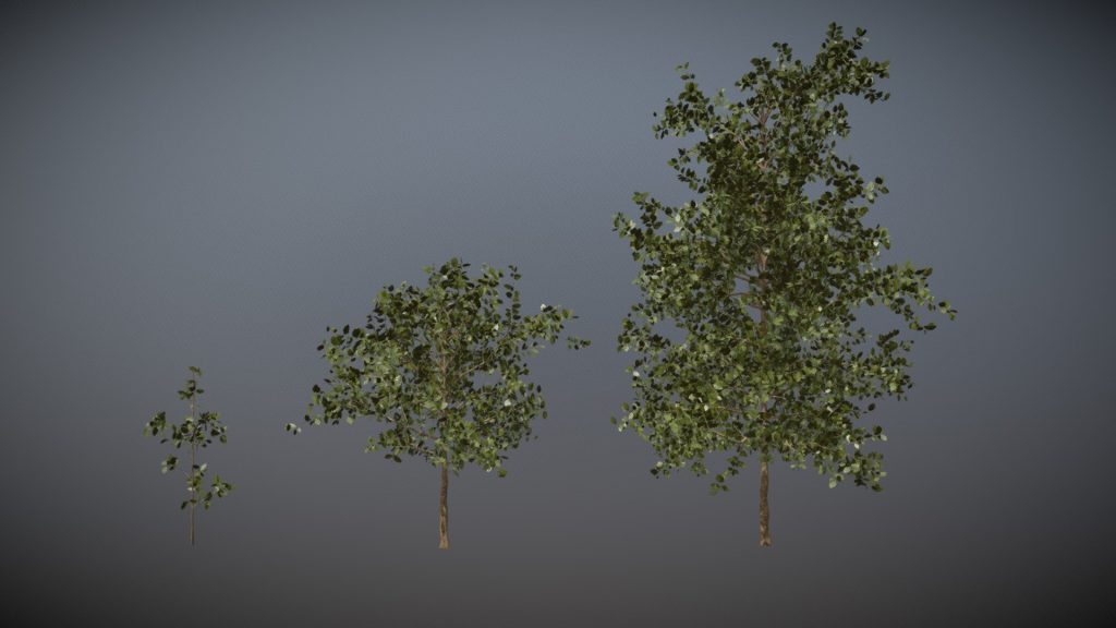 Download Tree Pack A 3D Model | deep3dsea