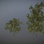 Tree Pack A