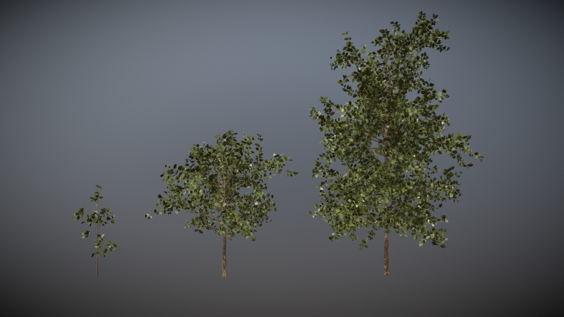 Tree Pack A