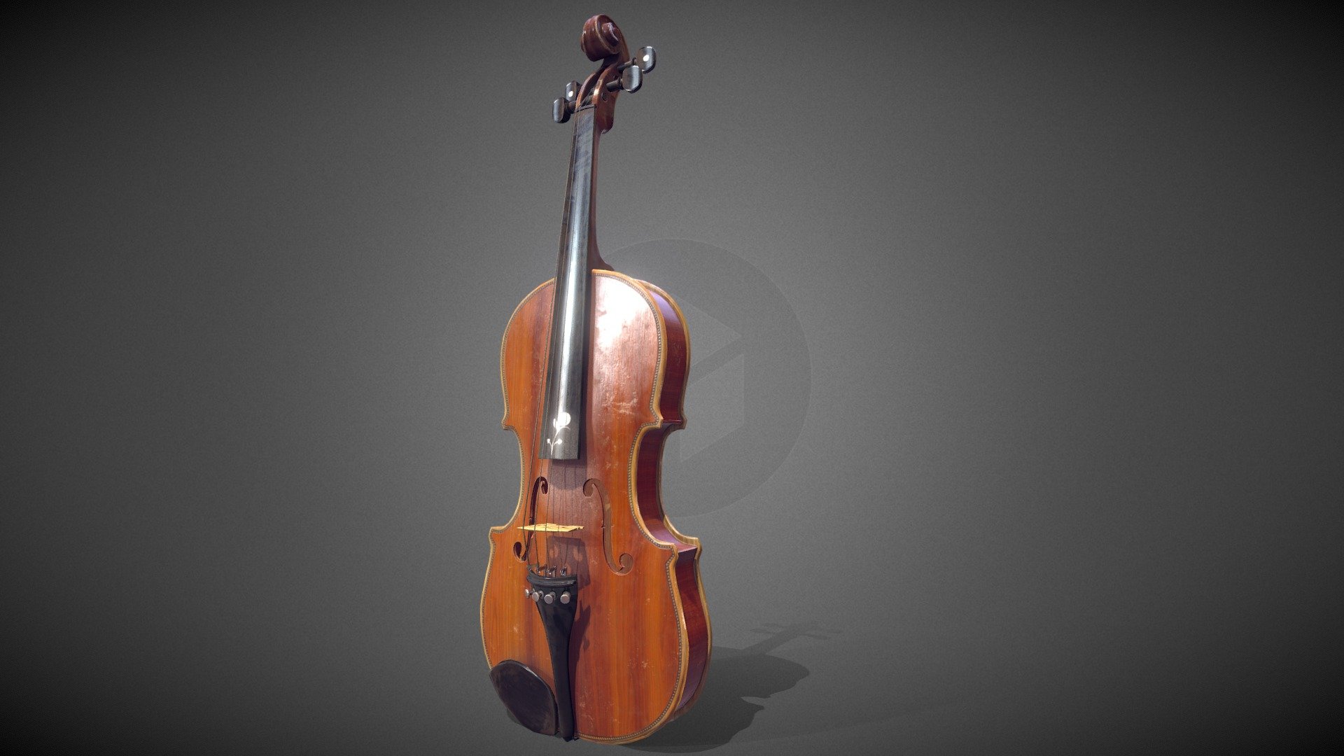 Violin