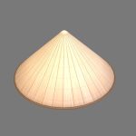 Conical Hat
