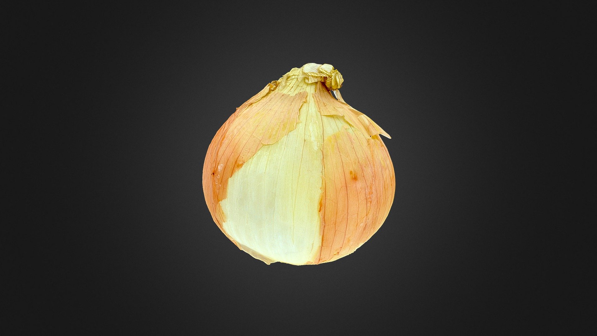 Onion