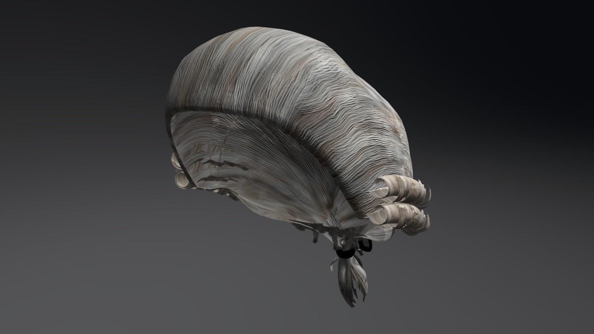 Periwig