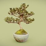 Bonsai 18