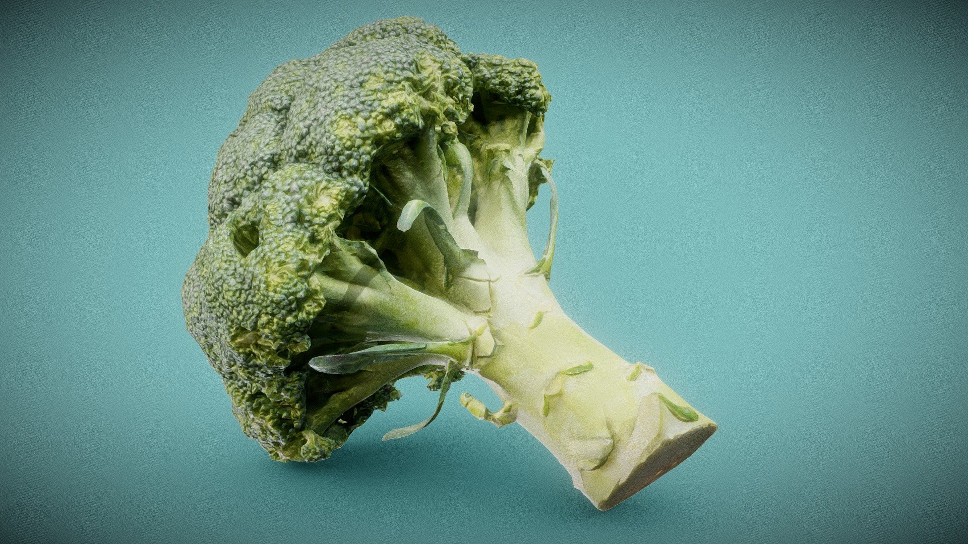 Broccoli