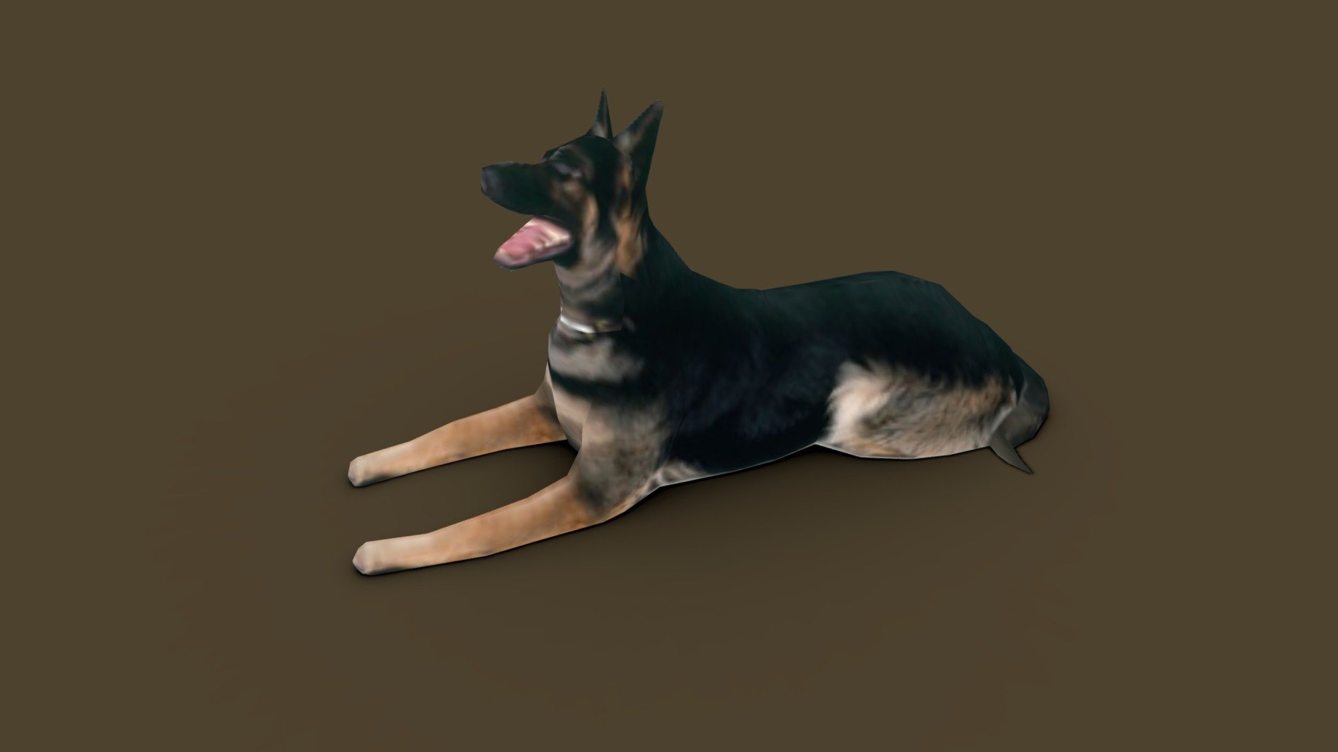 German Shepherd Dog