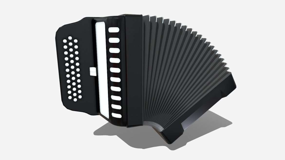 accordion 3d model