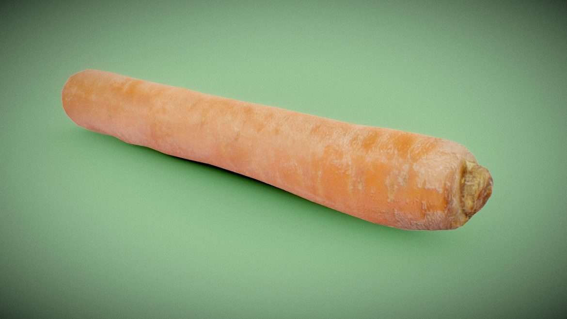 carrot 3d model