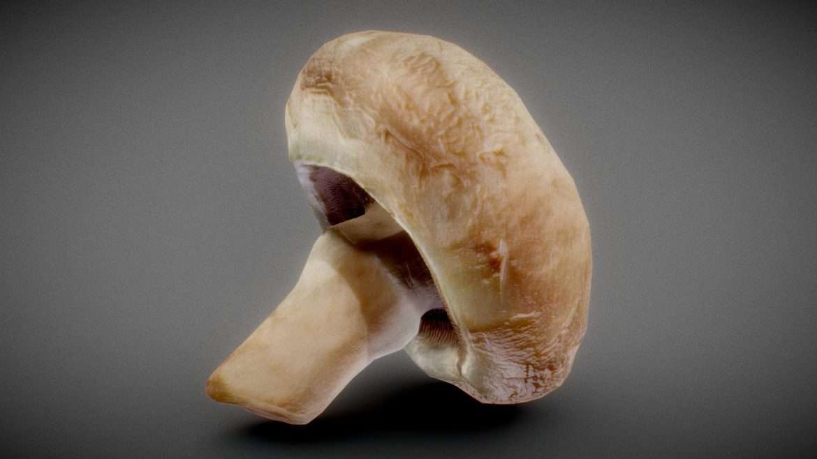 champion 1 3d model