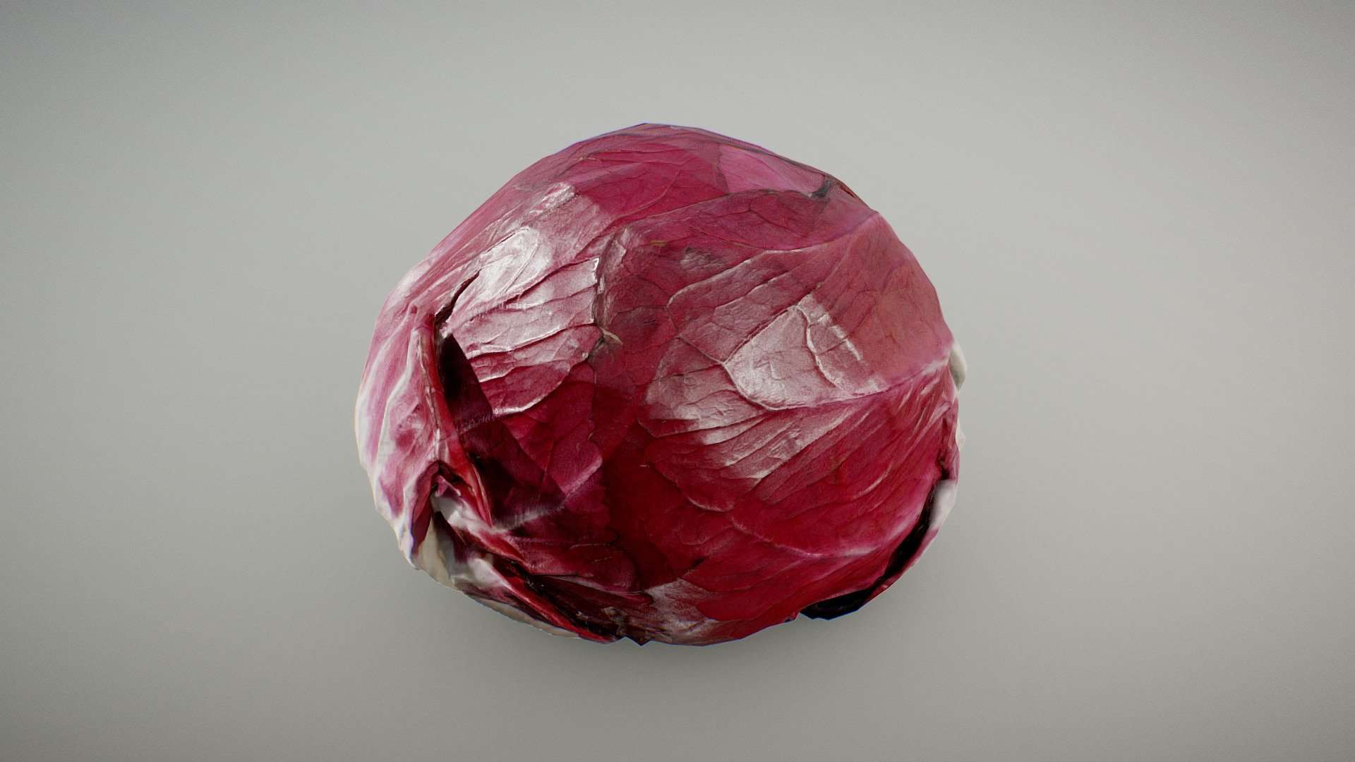 Chicory Red Radicchio