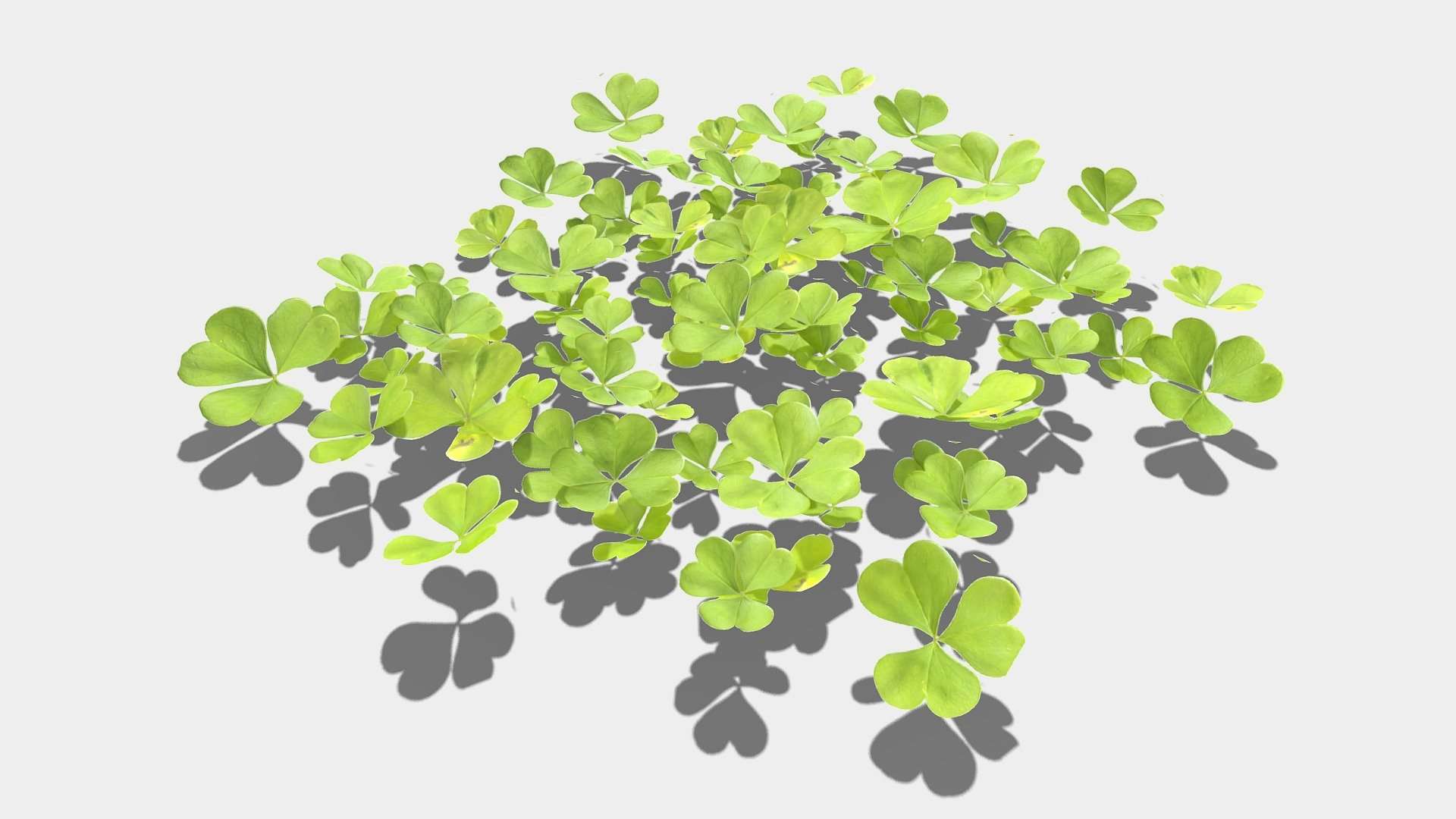 Clovers
