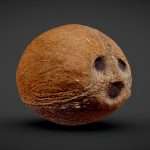 Coconut