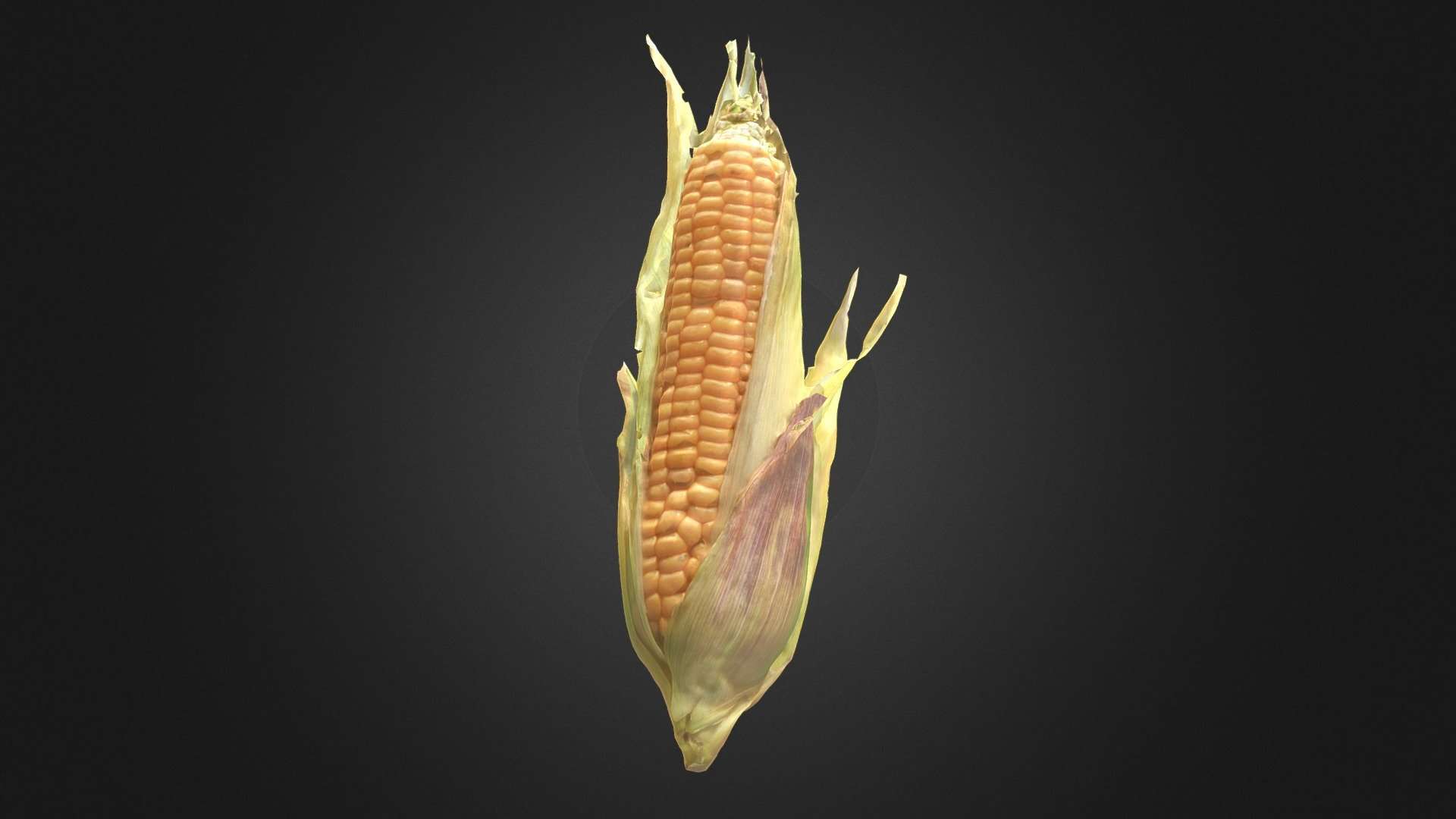 Corn