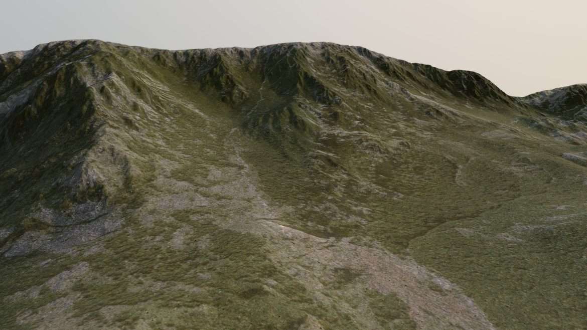 corse 3d model