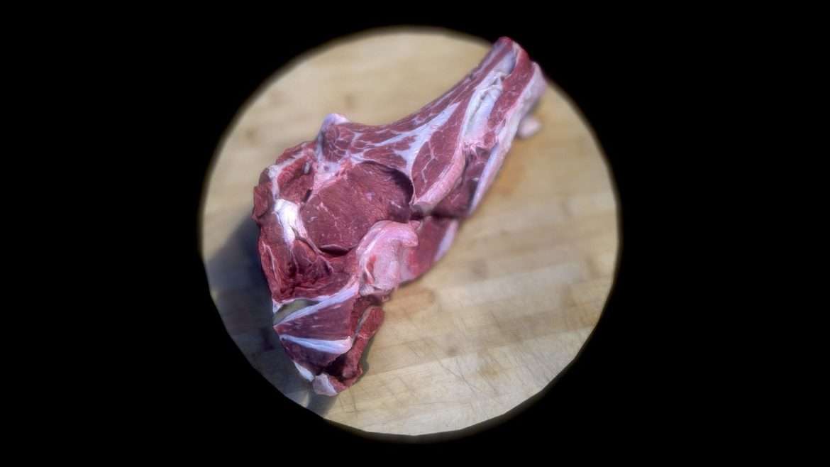 Cte De Boeuf 3d Model - Highly detailed raw côte de boeuf 3D model with bone and marbling, ready for grilling or render.