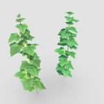 Cucumber Plants With Fruit | Game Assets