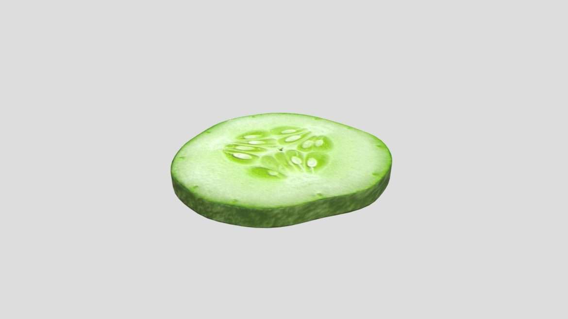 cucumber slice 3d model