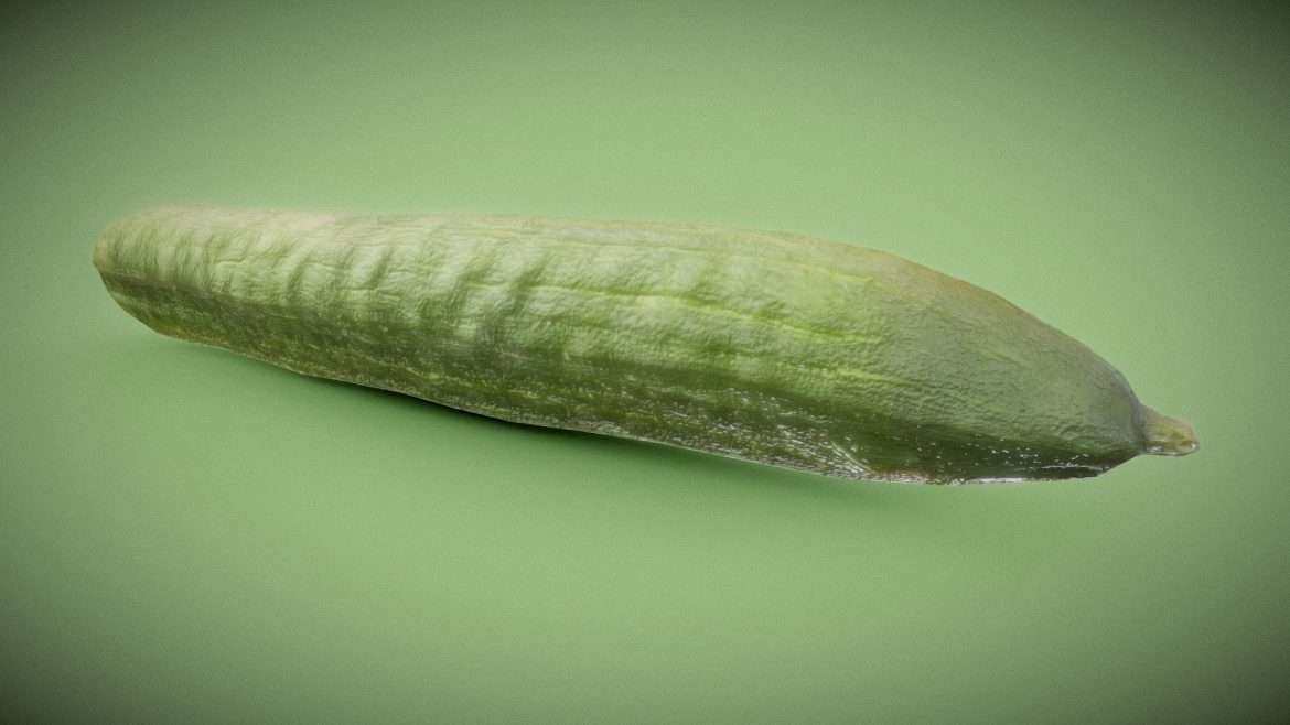 cucumber 3d model