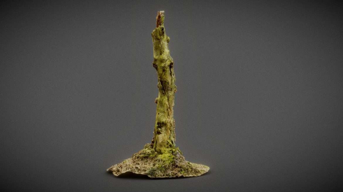 cute stump 3d model