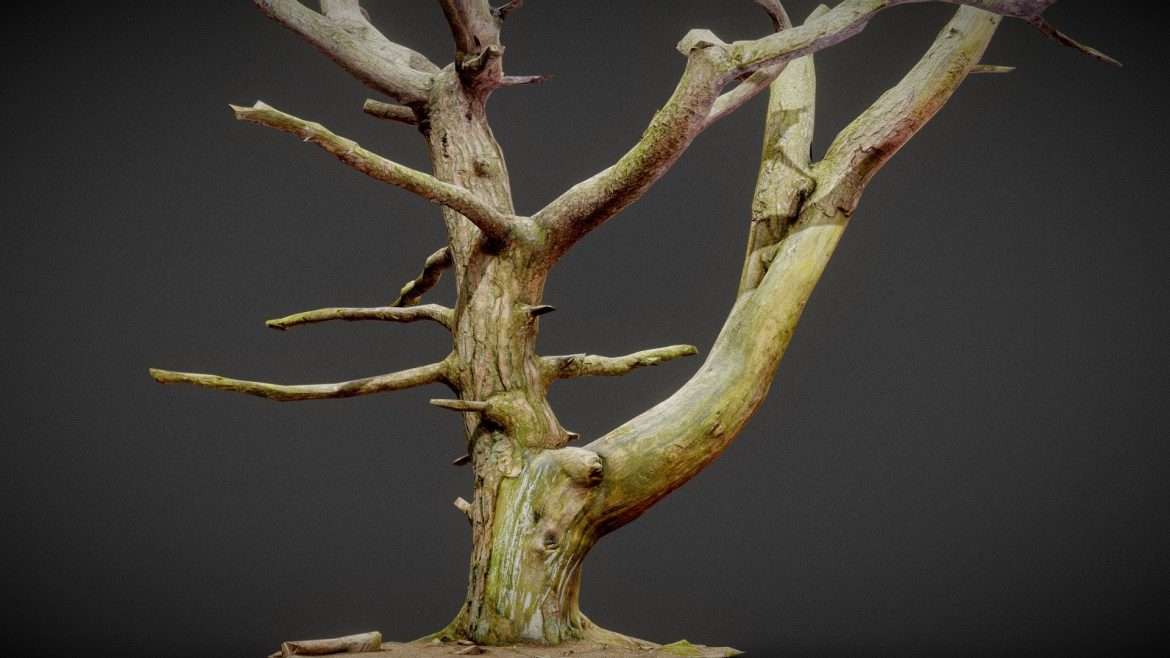 dancing tree 3d model