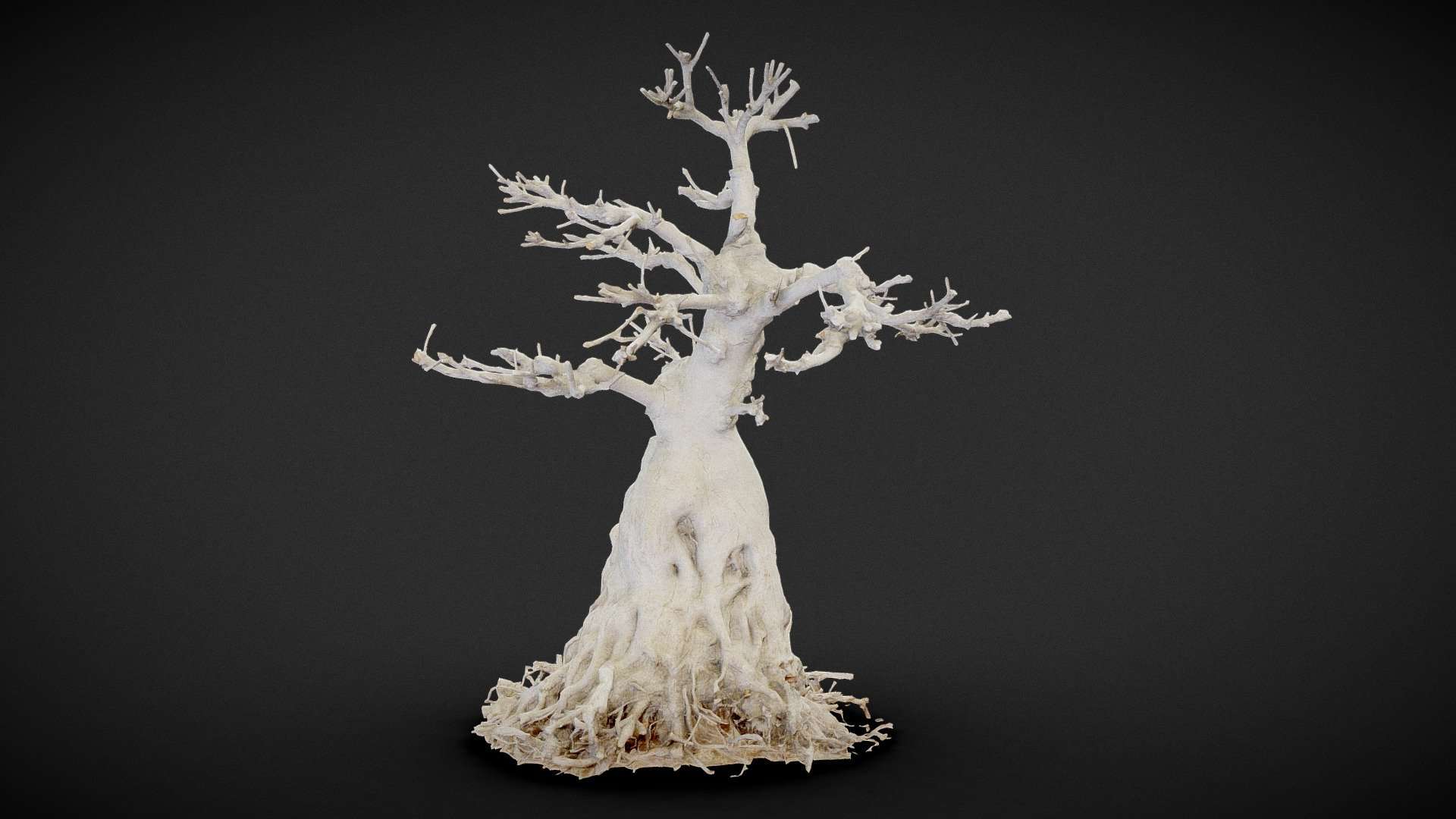 Dead Bonsai 7