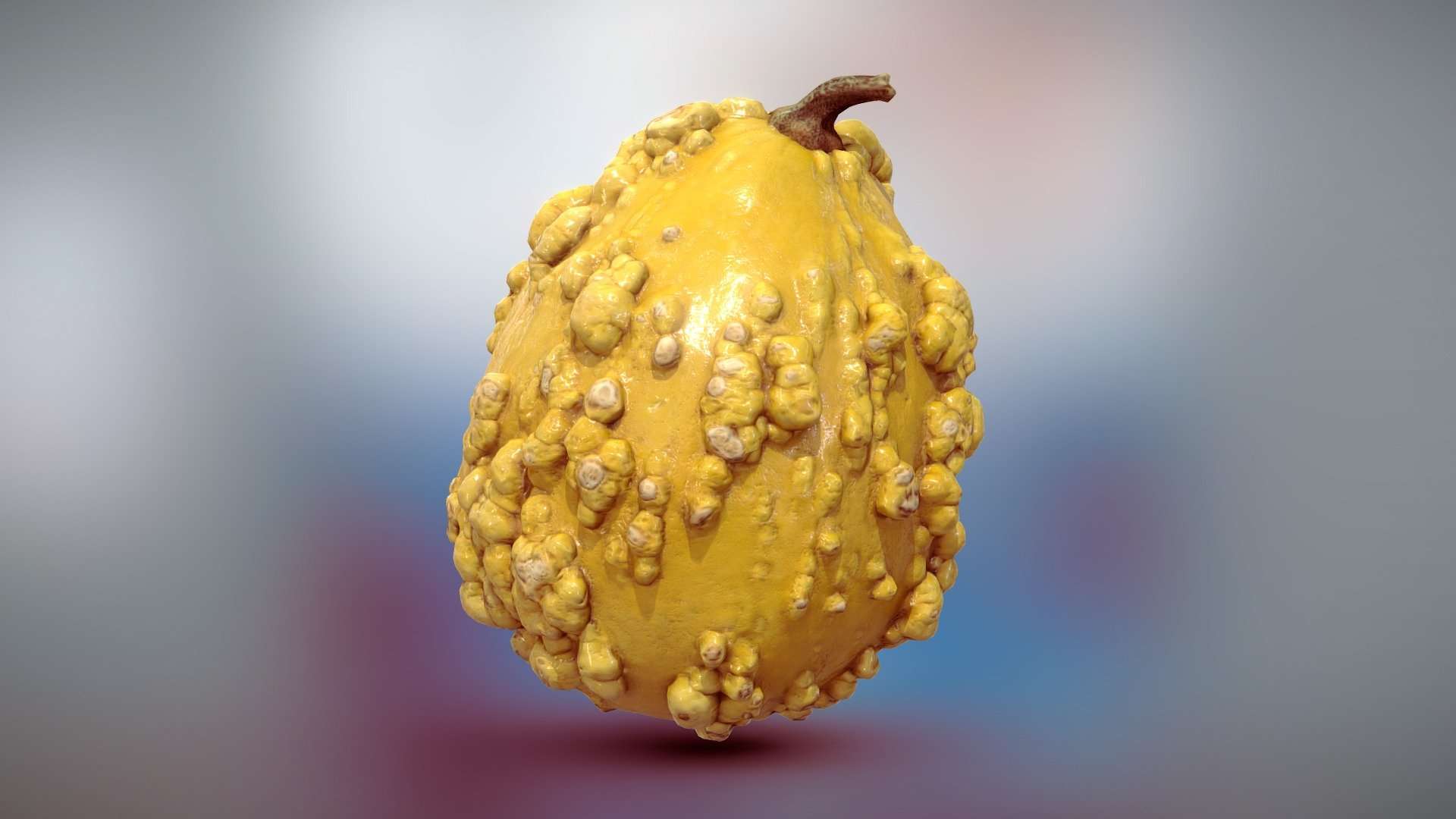 Decorative Squash / Gourd