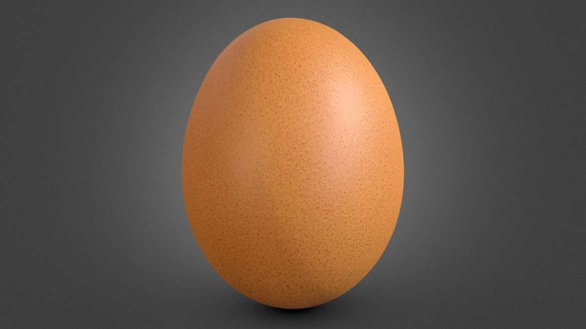 egg 3d model
