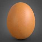 Egg