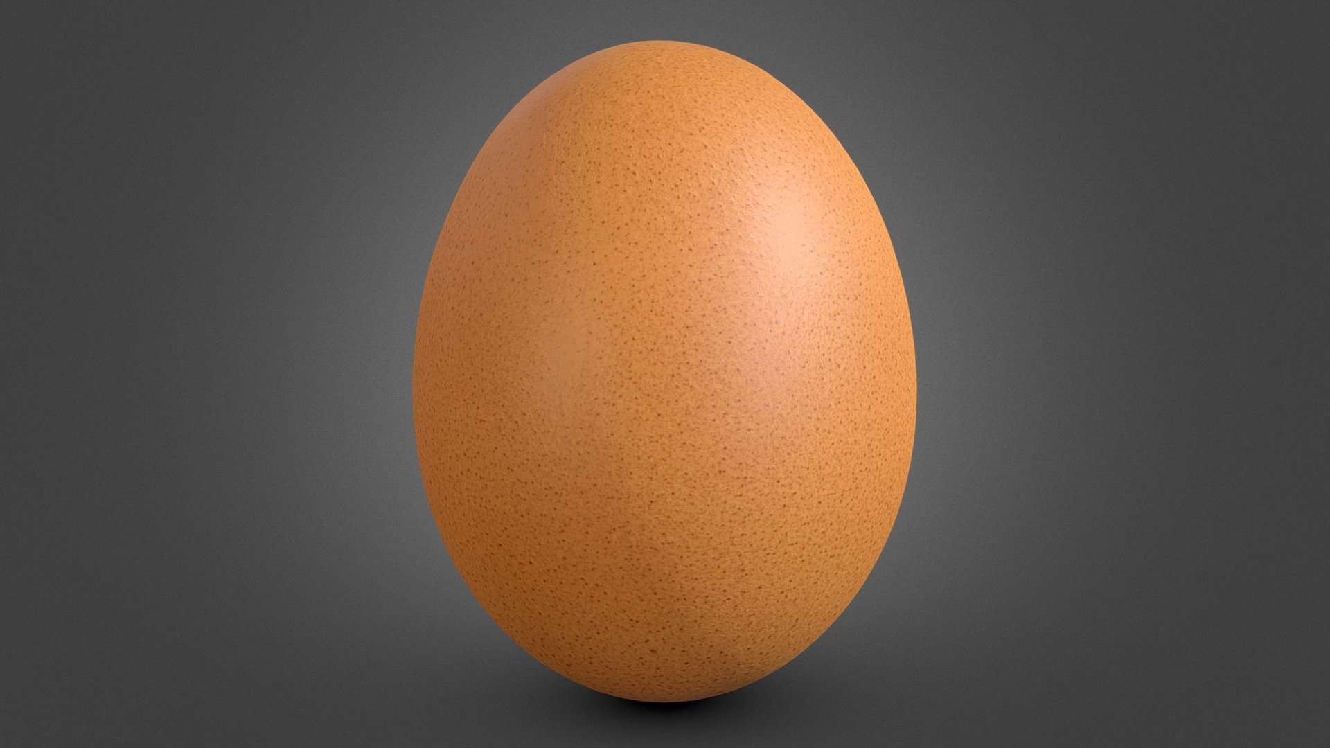Egg