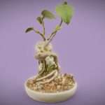 ficus carica 3d model