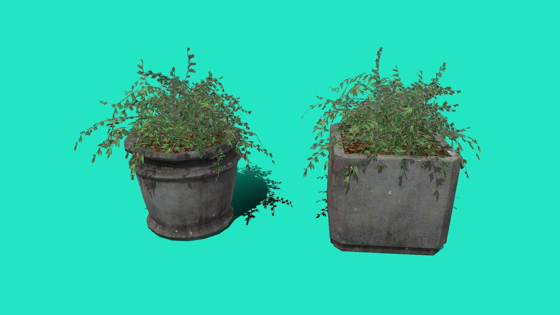 Flower Pot – Ready to Unity HDRP