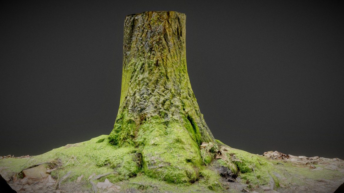 fluo foundation 3d model