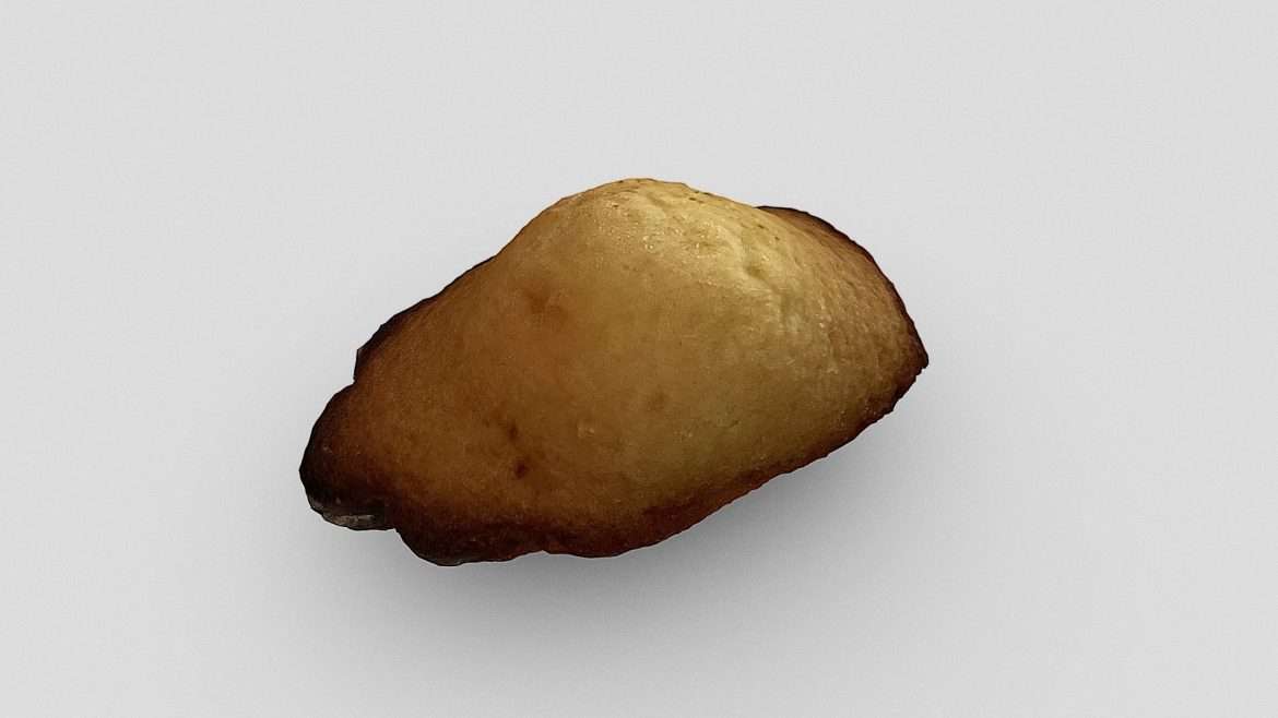 french madeleine 3d model