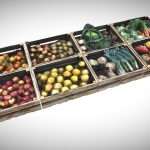 Fruit & Vegetable Pack