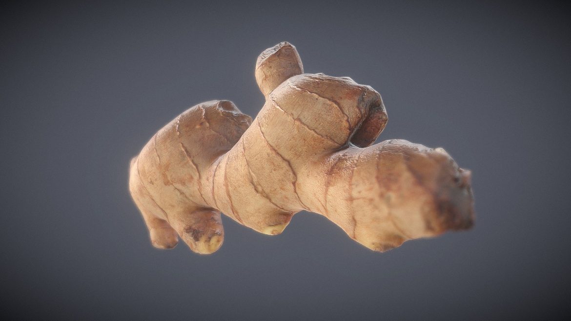 ginger scan 3d model