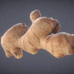 Ginger Scan