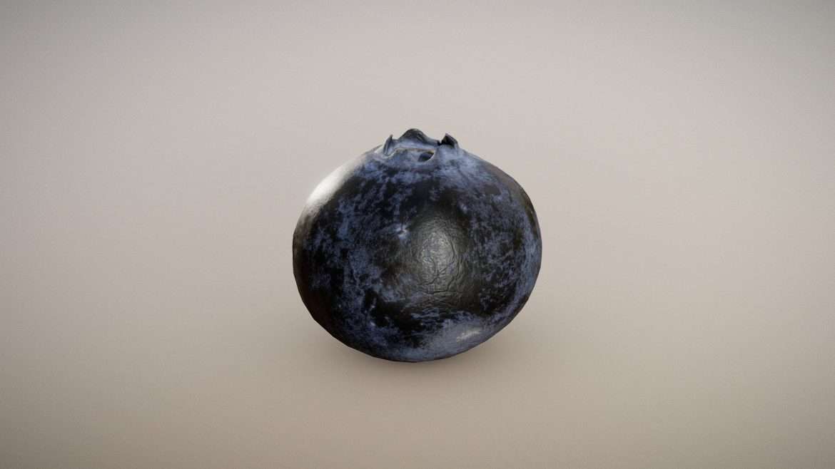 gourmet blueberry surface macro 3d model