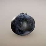 Gourmet Blueberry (Surface Macro)