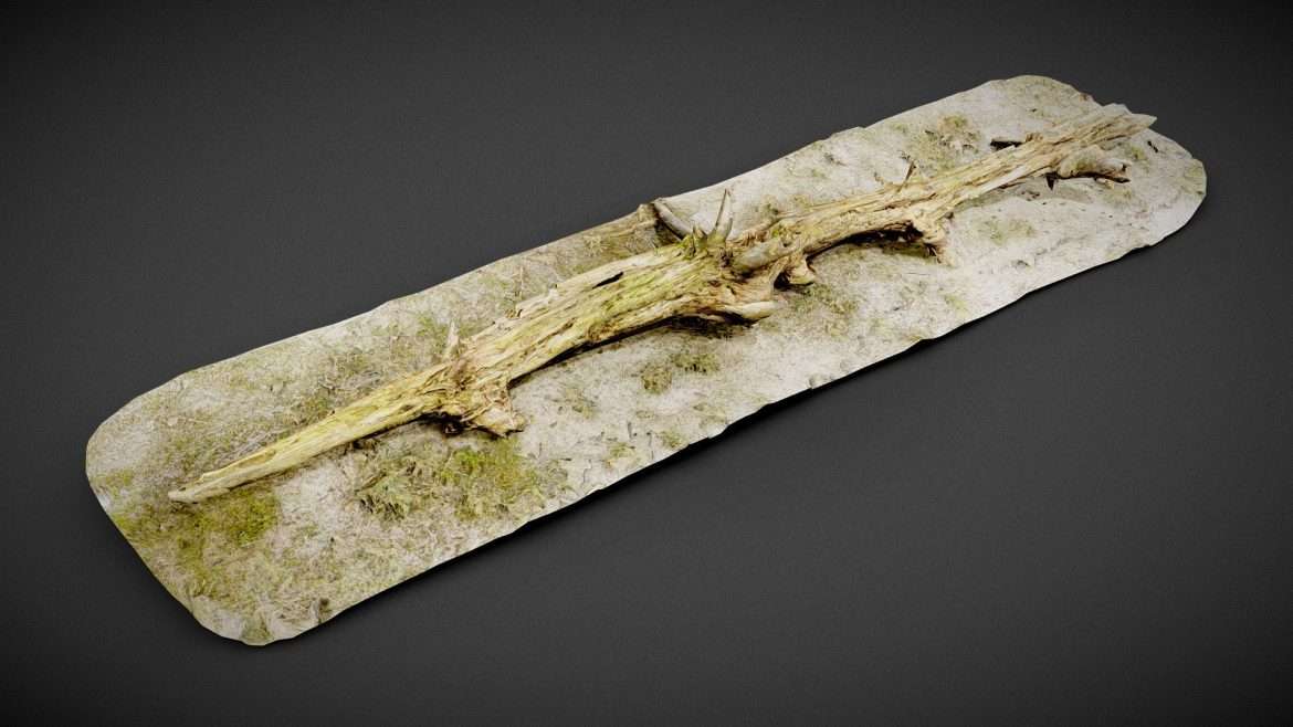 ground branch 3d model