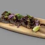“Hen of the woods” mushroom tacos