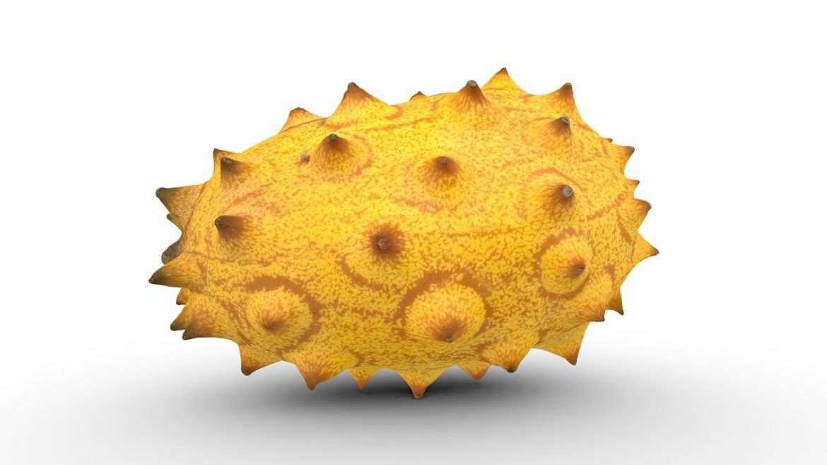 kiwano melon 3d model