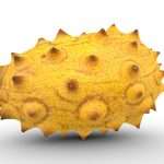 Kiwano Melon