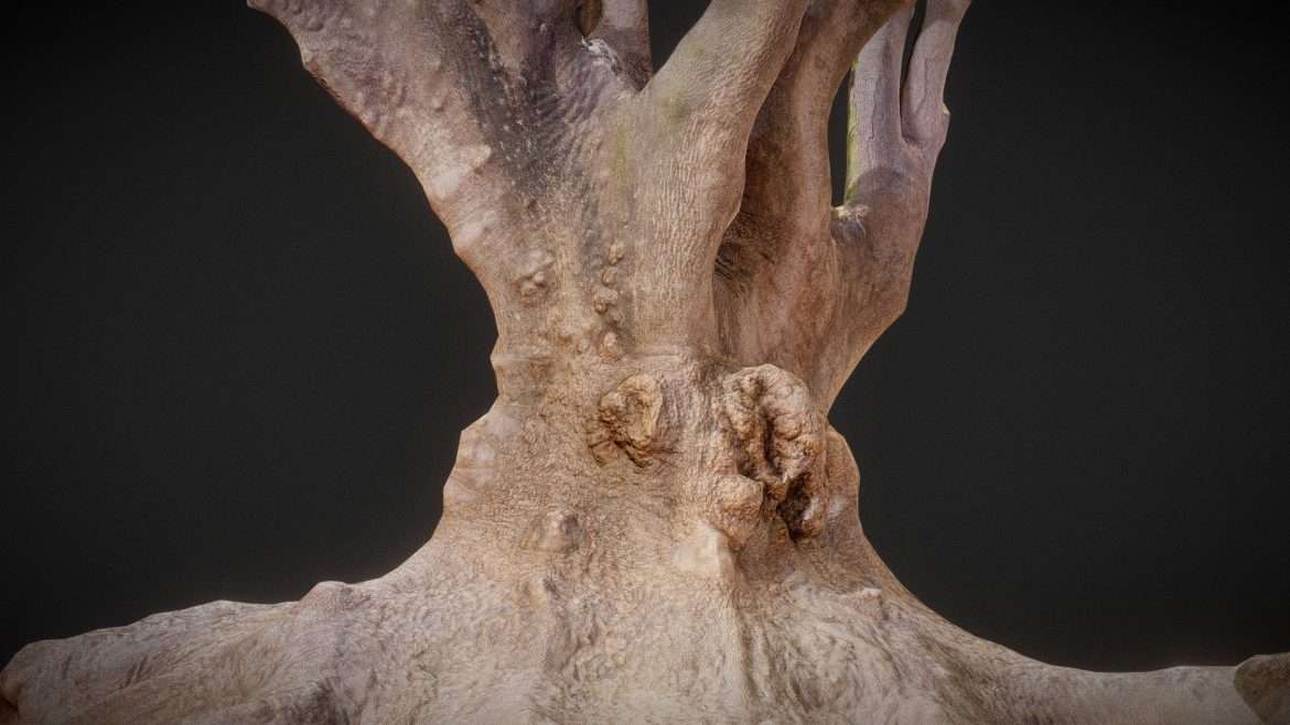 large tree 3d model