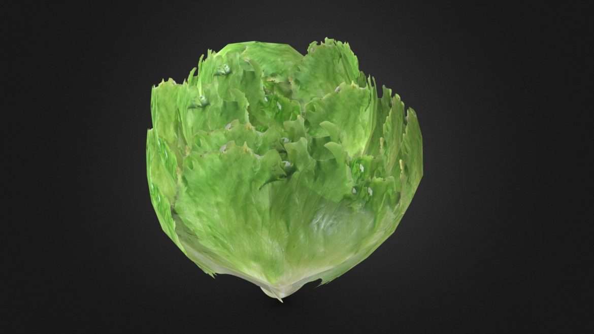 low poly lettuce 3d model