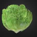 Low poly lettuce