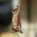 Meat Carcass