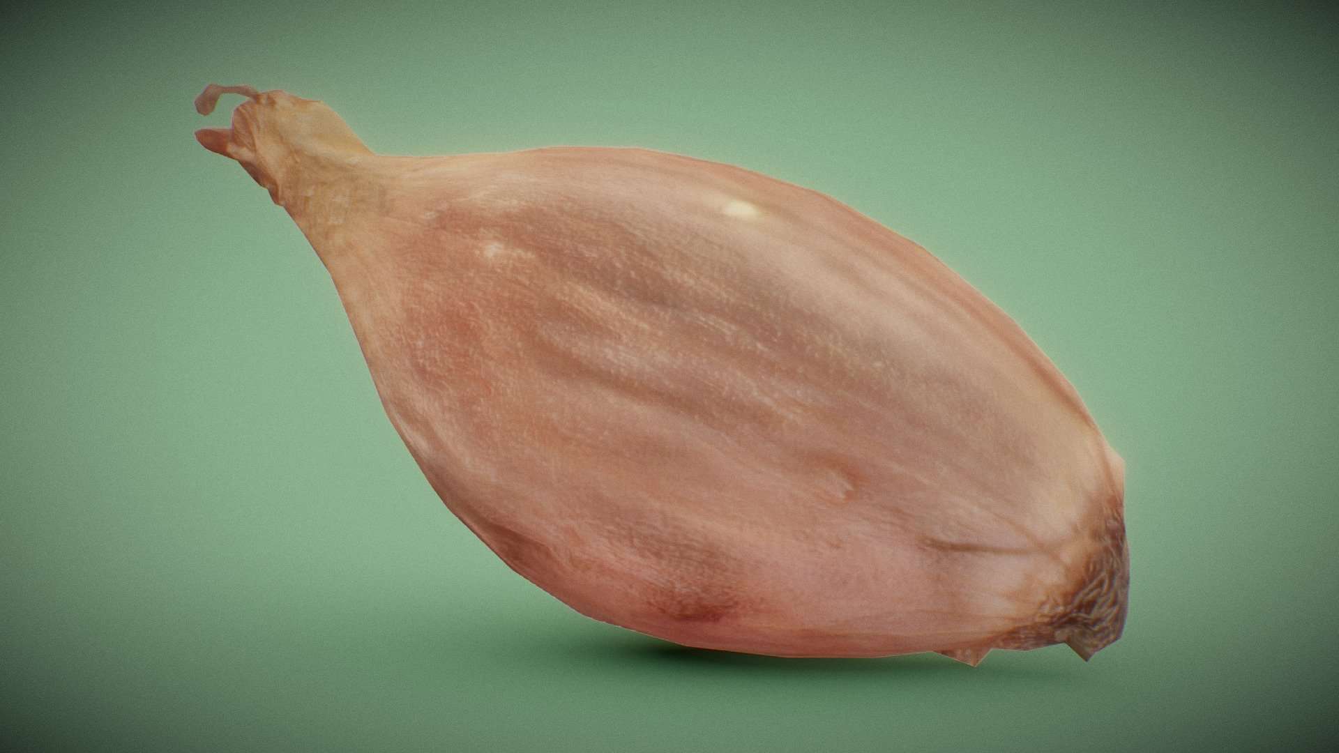 Onion